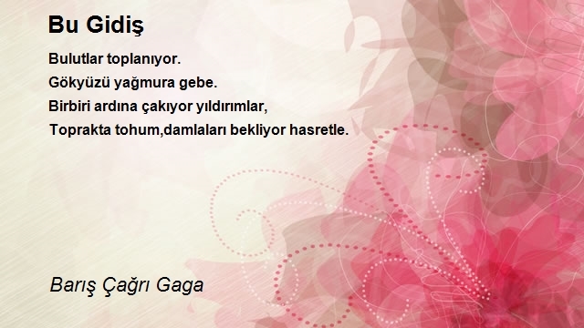 Barış Çağrı Gaga