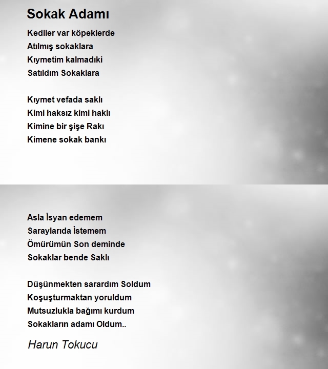 Harun Tokucu