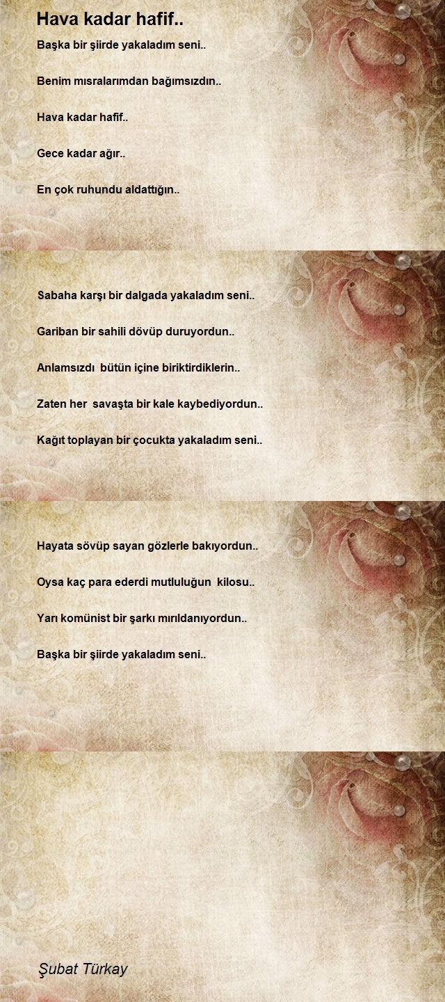 Şubat Türkay