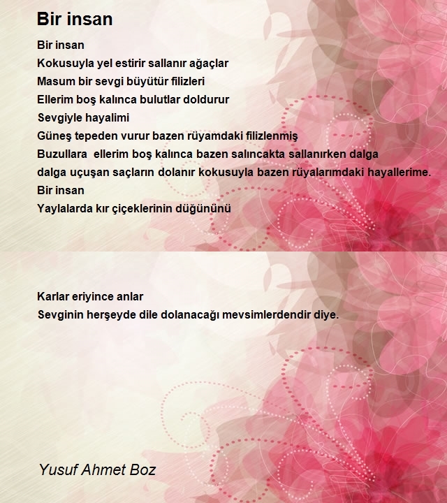 Yusuf Ahmet Boz
