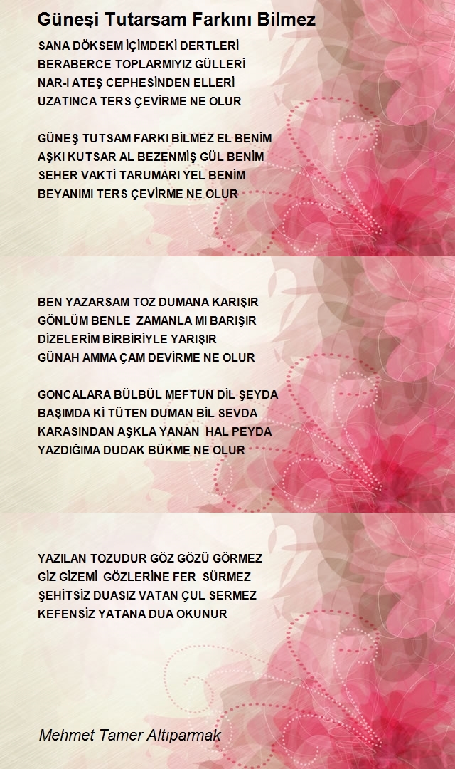 Mehmet Tamer Altıparmak