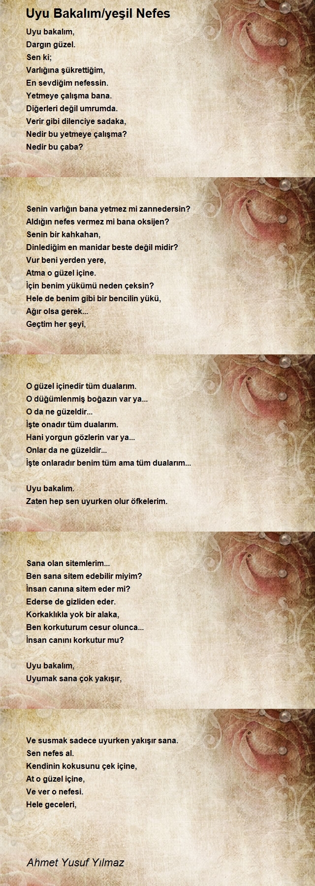 Ahmet Yusuf Yılmaz