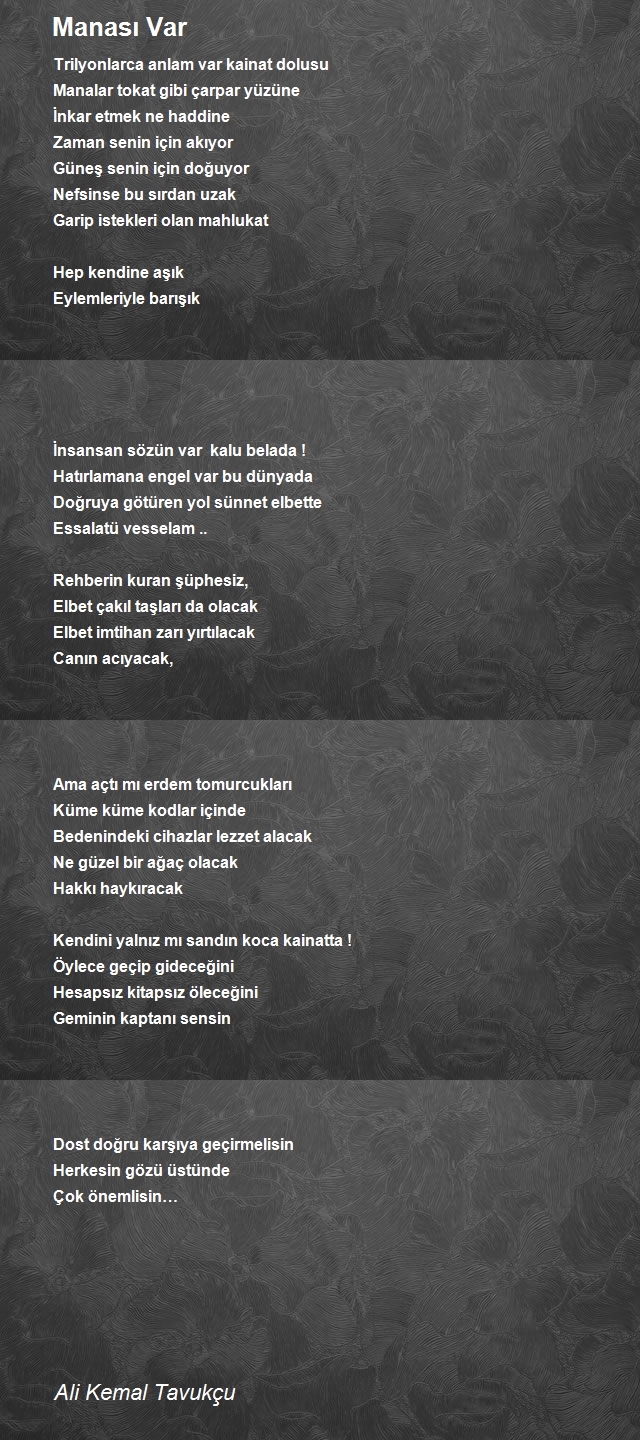 Ali Kemal Tavukçu