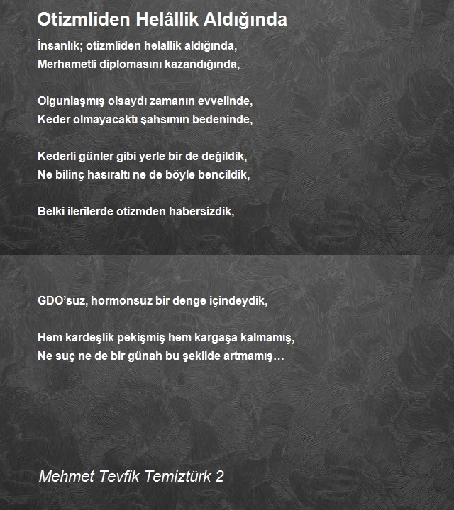 Mehmet Tevfik Temiztürk 2