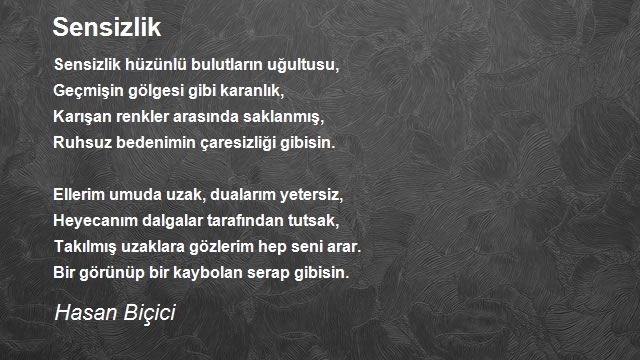 Hasan Biçici