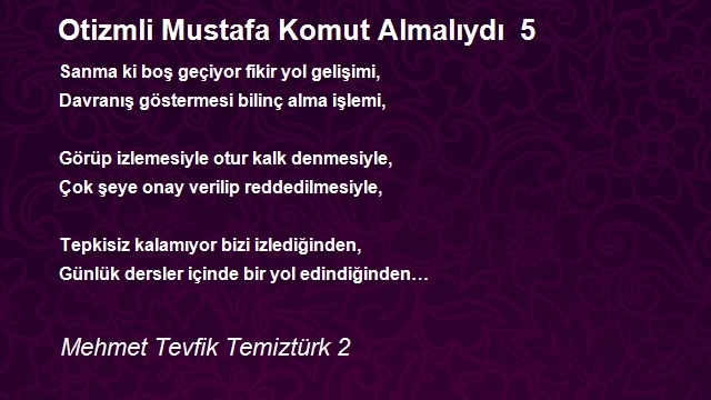 Mehmet Tevfik Temiztürk 2