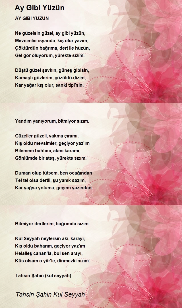 Tahsin Şahin Kul Seyyah