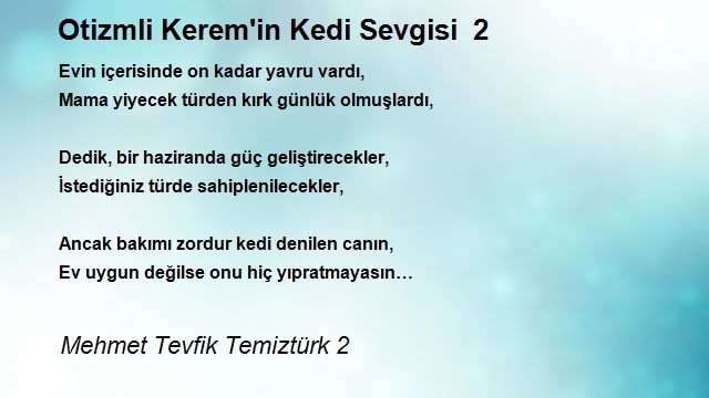 Mehmet Tevfik Temiztürk 2