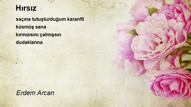 Erdem Arcan