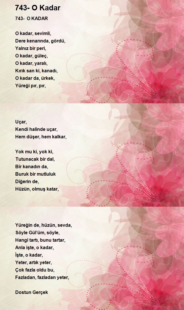 Selahaddin Aktay