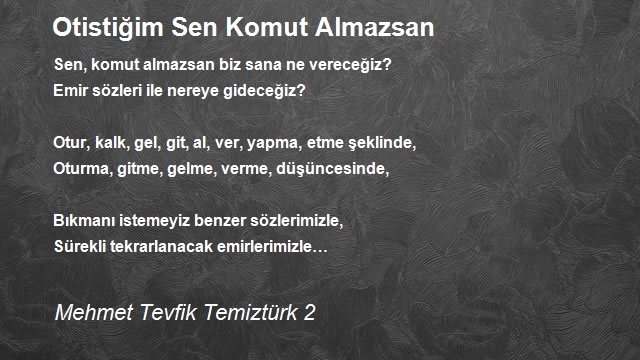 Mehmet Tevfik Temiztürk 2