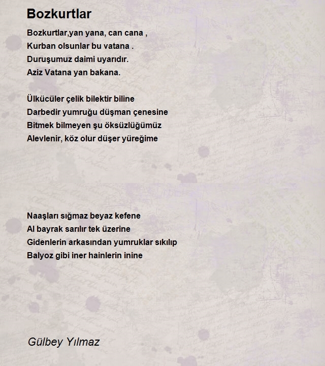 Gülbey Yılmaz