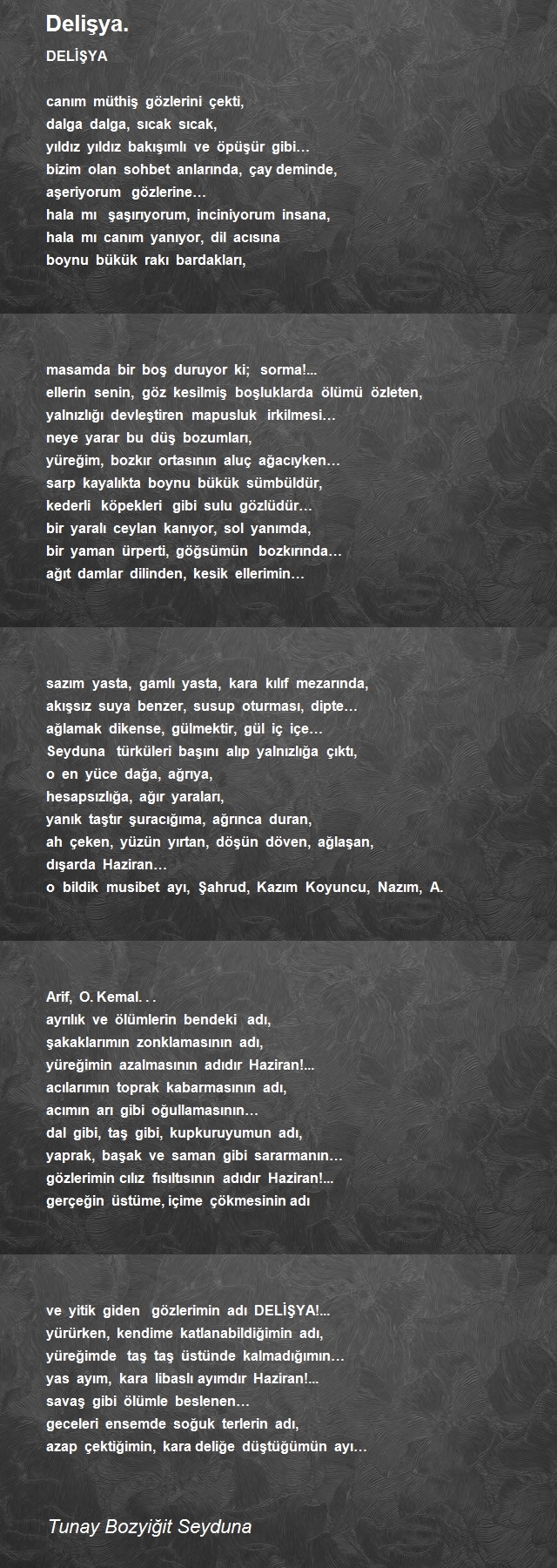 Tunay Bozyiğit Seyduna