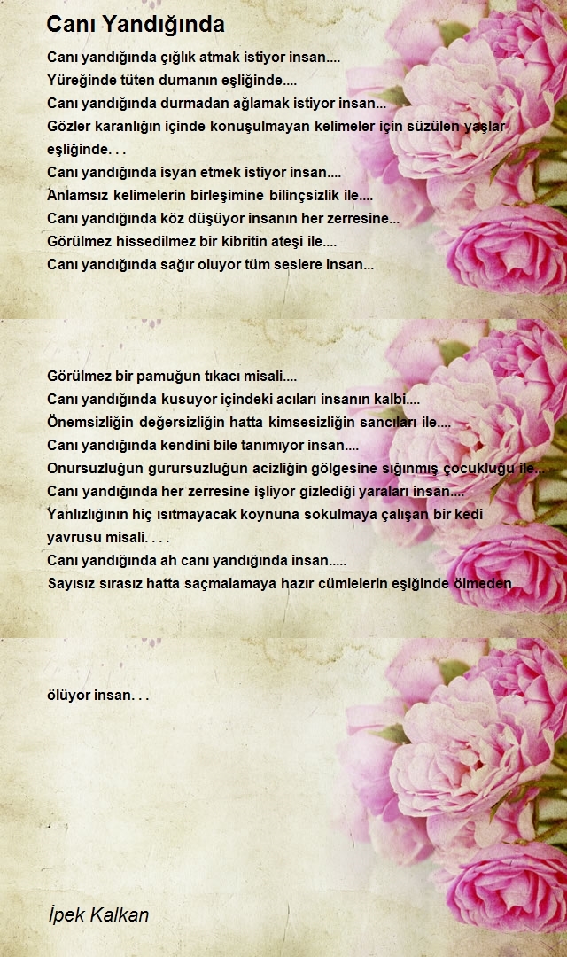 İpek Kalkan