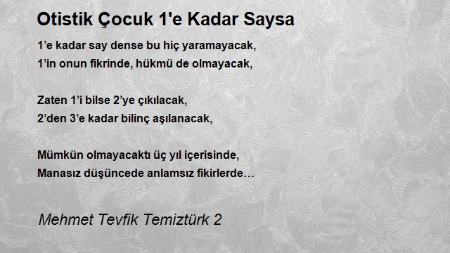 Mehmet Tevfik Temiztürk 2