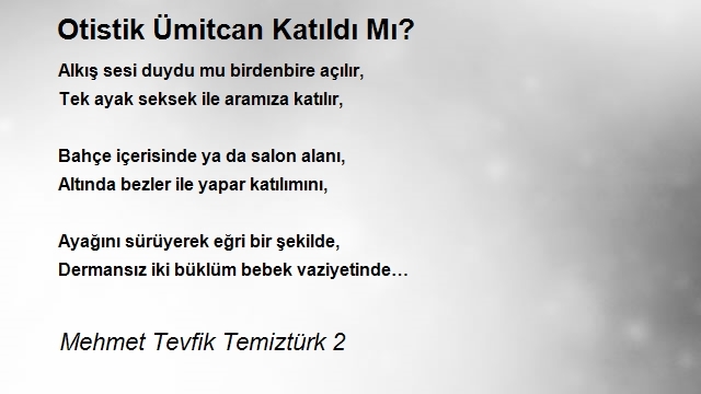 Mehmet Tevfik Temiztürk 2