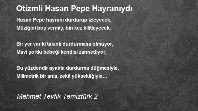Mehmet Tevfik Temiztürk 2