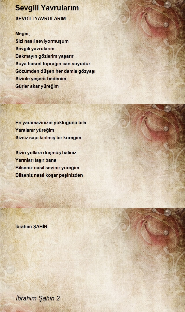 İbrahim Şahin 2
