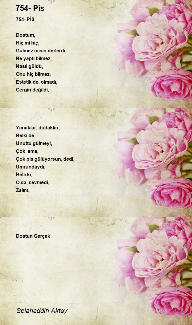 Selahaddin Aktay