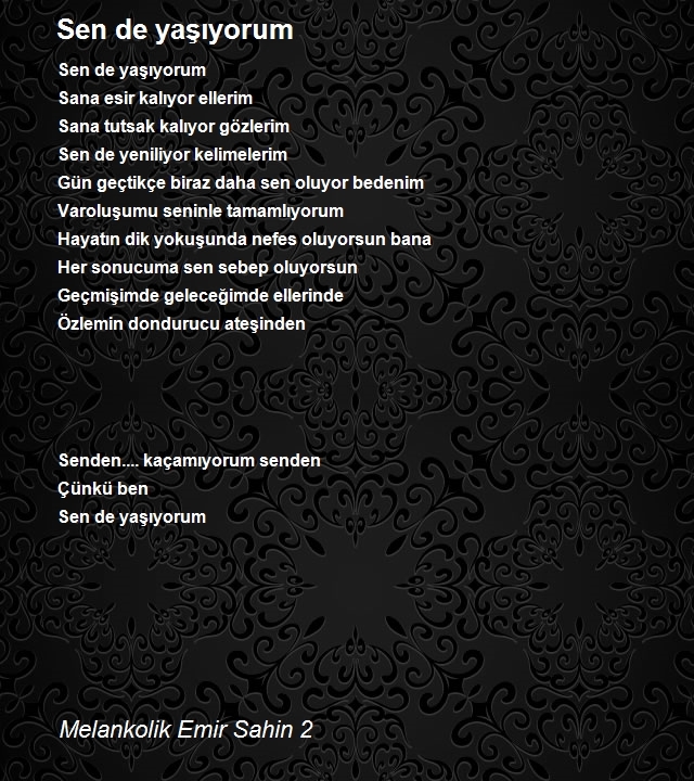 Melankolik Emir Sahin 2