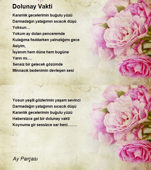 Ay Parçası