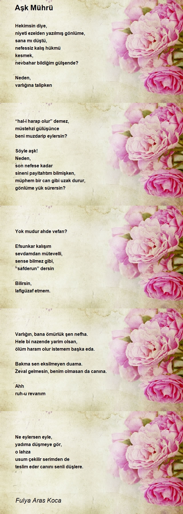 Fulya Aras Koca