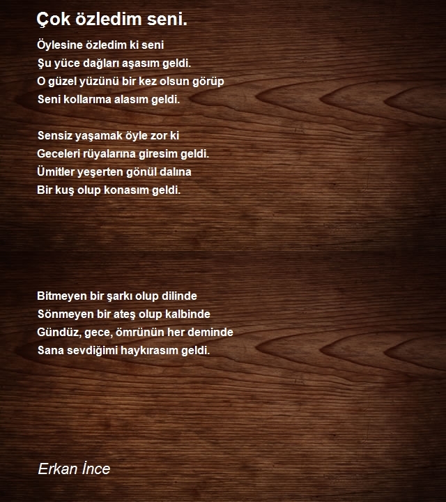 Erkan İnce