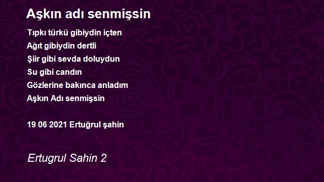 Ertugrul Sahin 2