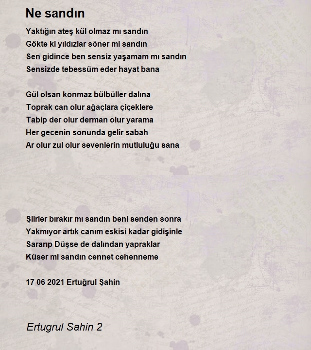 Ertugrul Sahin 2