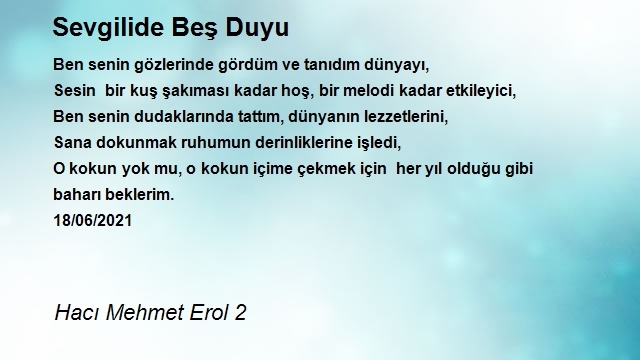 Hacı Mehmet Erol 2