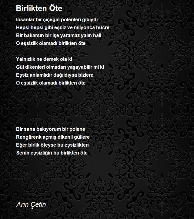 Arın Çetin