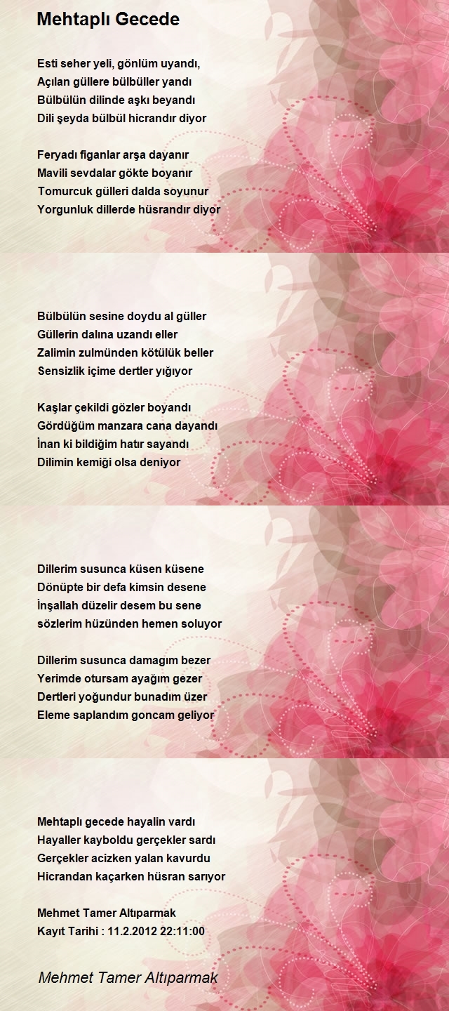 Mehmet Tamer Altıparmak