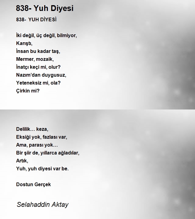 Selahaddin Aktay