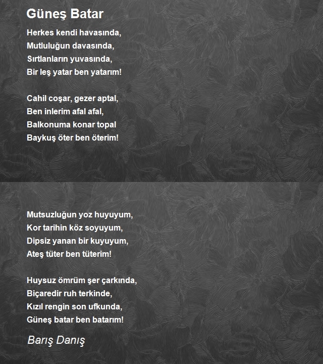 Barış Danış