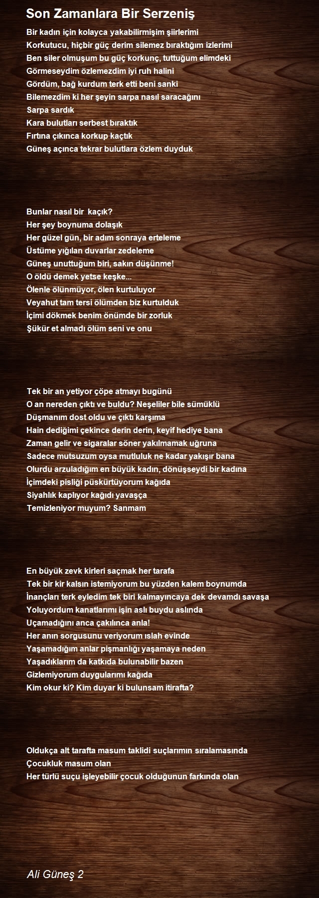Ali Güneş 2