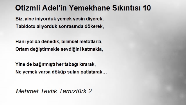 Mehmet Tevfik Temiztürk 2