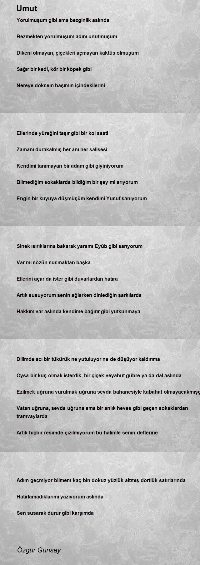Özgür Günsay