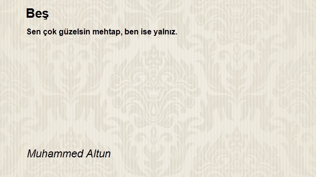 Muhammed Altun