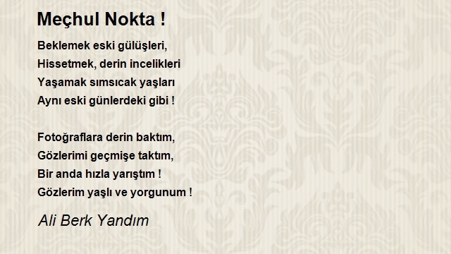 Ali Berk Yandım