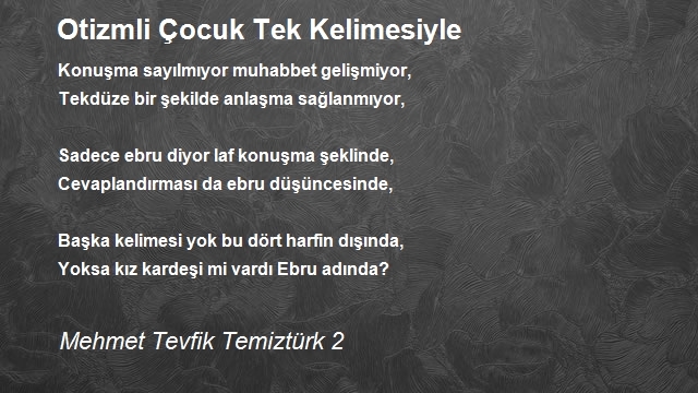 Mehmet Tevfik Temiztürk 2