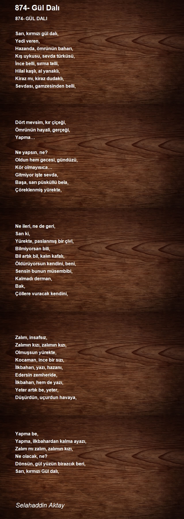 Selahaddin Aktay