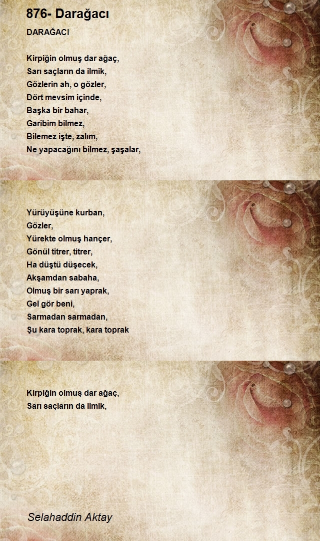 Selahaddin Aktay