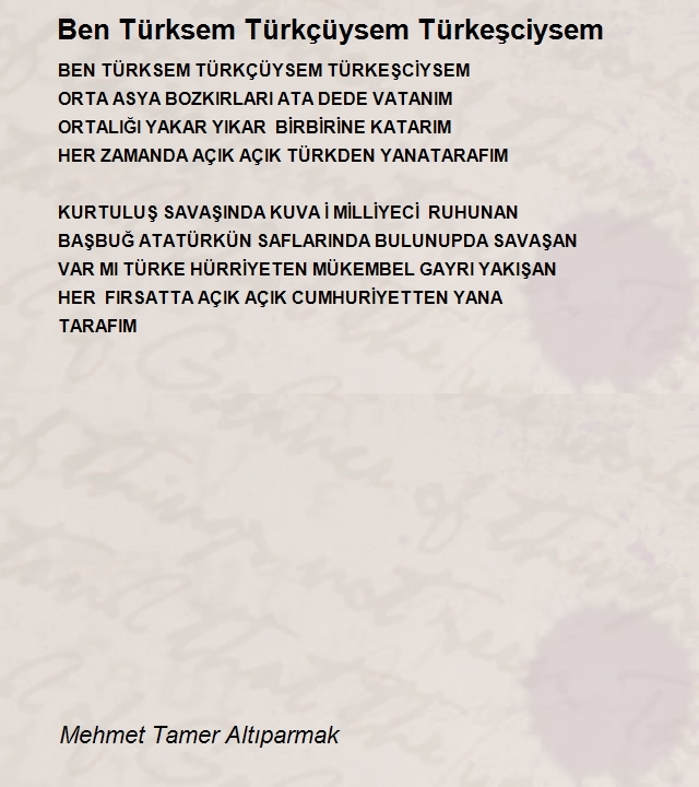 Mehmet Tamer Altıparmak