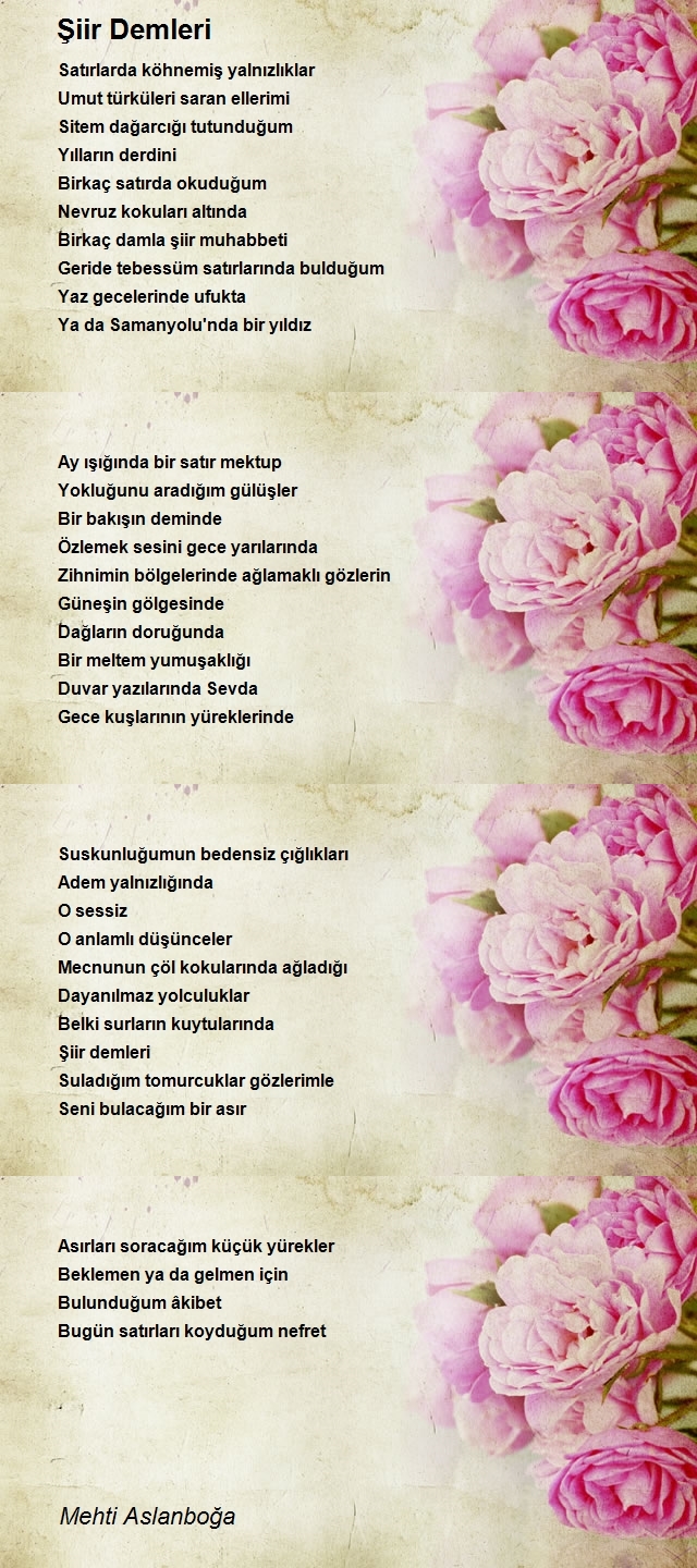 Mehti Aslanboğa