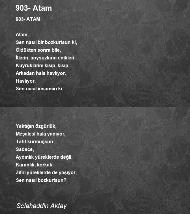 Selahaddin Aktay