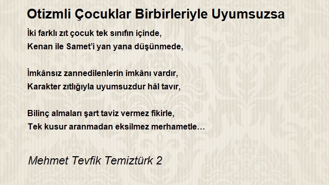 Mehmet Tevfik Temiztürk 2