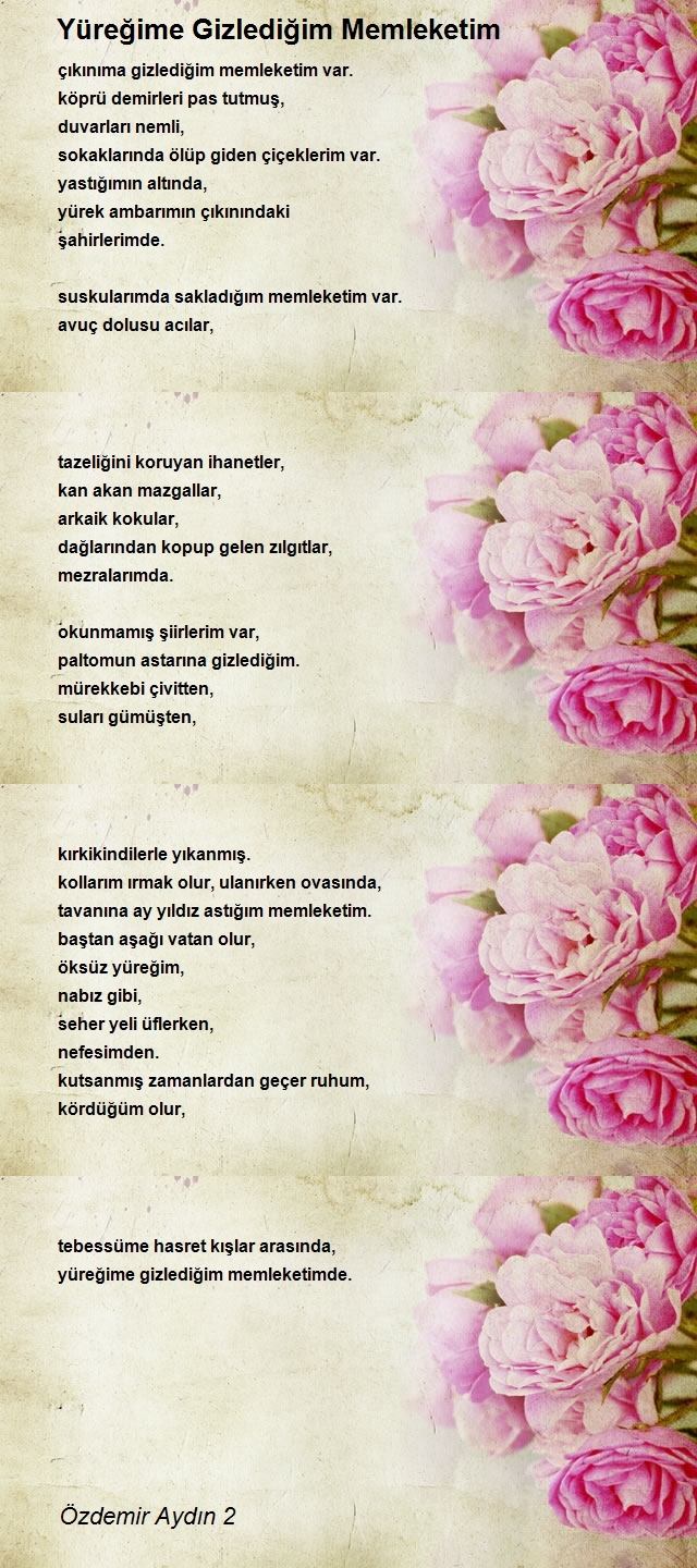 Özdemir Aydın 2