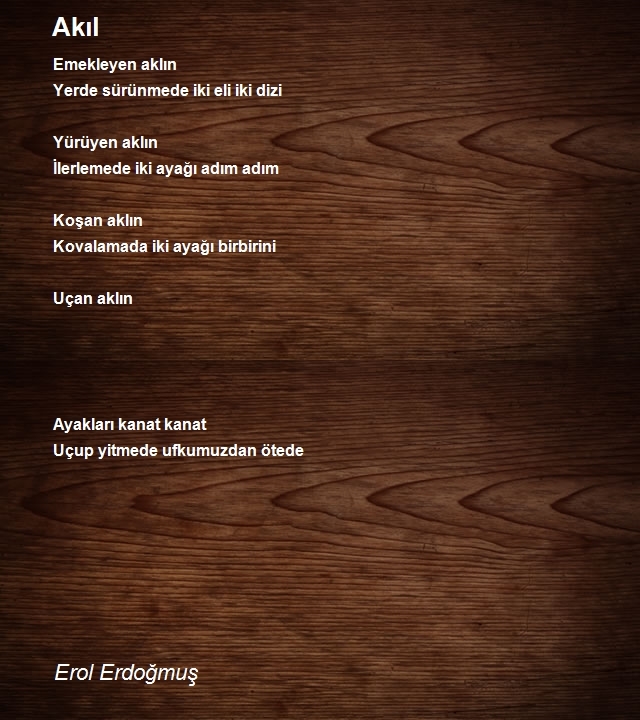 Erol Erdogmus 2