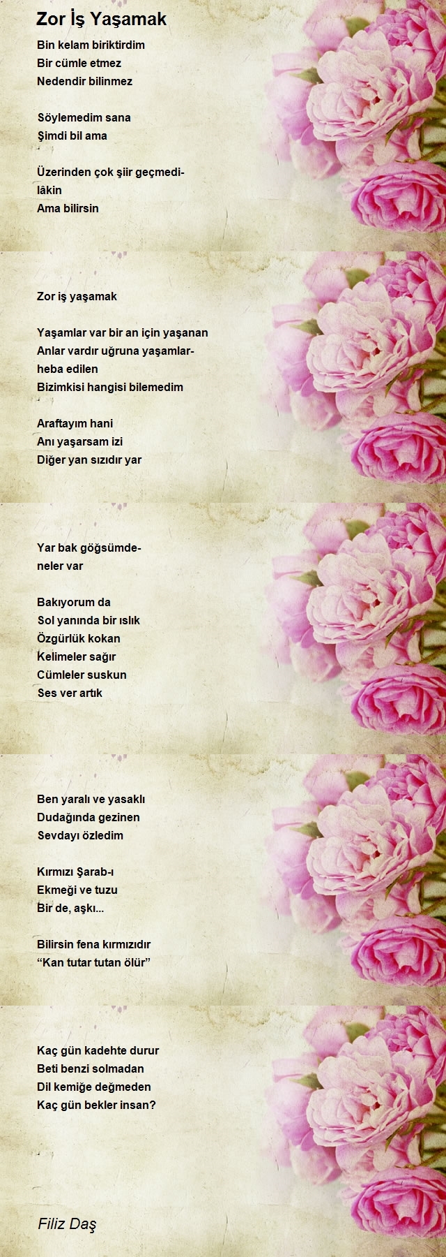 Filiz Daş