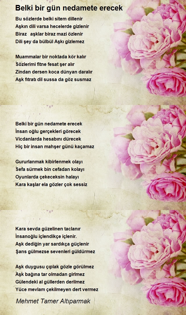 Mehmet Tamer Altıparmak